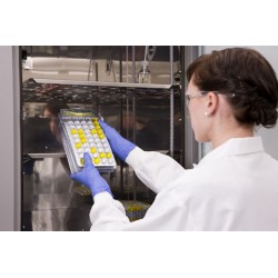 Linha de produtos  IDEXX