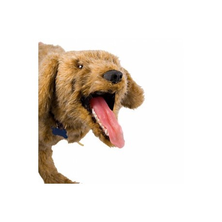 Simuladores Veterinários 