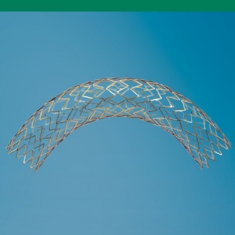 Linha de Stents e Perifericos 