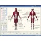 Equipamento de EMG Potencial evocado bioeletricidade do músculo de EMG
