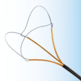 Sonda Extratora de Cálculo