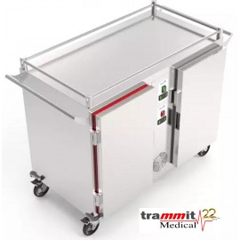 Carro Térmico Refrigerado